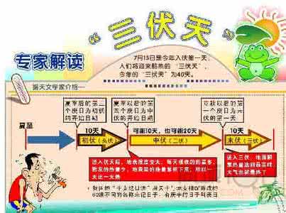 四季饮食护理的原则 三伏天饮食四原则