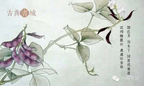 极限词工商投诉应对 纵是此般缠绵词，诉不尽幽幽情！