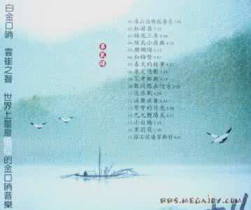 优美动听口哨纯音乐 最最动听的口哨音乐《白金口哨Ⅱ》