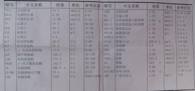 高血压正常值是多少 高血压正常值和控制方法
