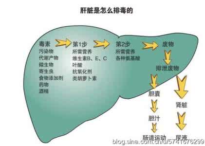 养肝排毒的食物 十大排毒养肝食物 肝脏代谢不好的症状 肝脏排毒方法助你养肝