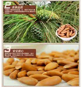 巴西松子的功效与作用 巴西松子 巴西松子的功效与作用
