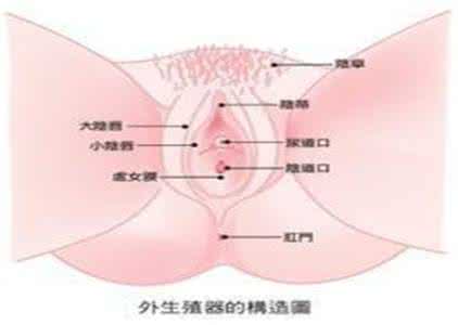 皮肤保养的重要性 阴部皮肤保养的重要性和方法