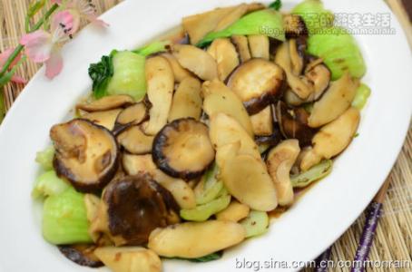 新雅粤菜馆一桌啥价位 双菇扒油菜-粤菜馆高上桌率的极品素菜