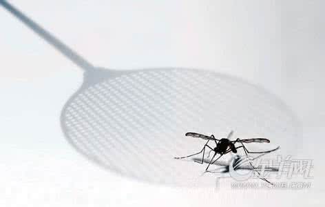 灭蚊灯抓不到蚊子原因 灭蚊4杀招不被蚊子叮一口