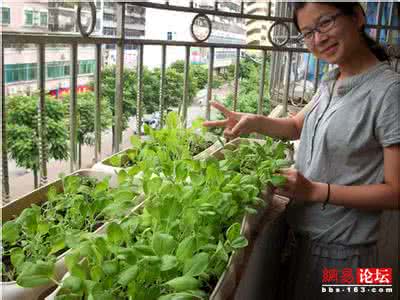 熊出没有机蔬菜 教你种出自家的有机蔬菜（有图有真相）