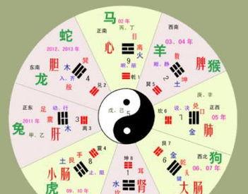 中医12时辰养生法则 中医养生 中医一天十二时辰养生法则