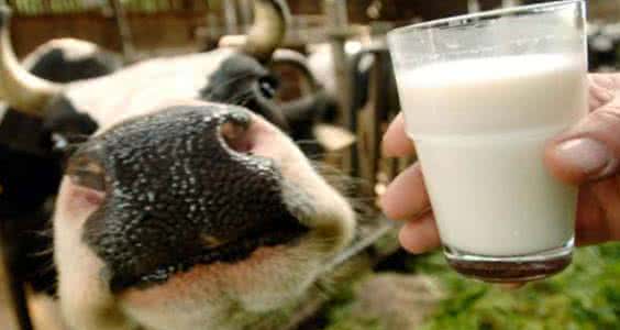 乳制品检测 标准样品 今年监测4048批次乳制品样品 硫氰酸钠未超标