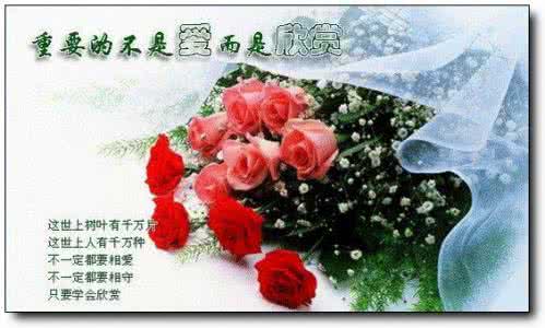 精美微信公众图文模板 爱是欣赏！【精美图文】