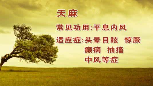 银川古方药店电话 古方今用话奇药—1 天麻