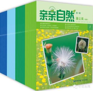 经典科普读物 适合学龄前孩子阅读的10套经典科普读物