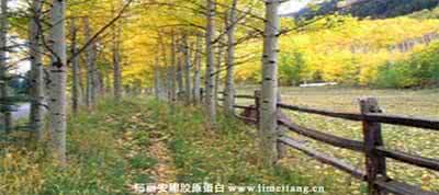 秋天如何保养皮肤 秋天如何保养皮肤 秋天皮肤保养三大纪律