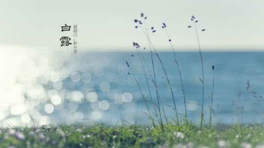 白露是什么时候 2014年的白露是什么时候