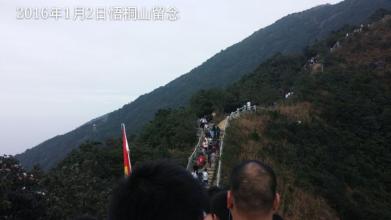 哈哈雅的怪趣味 知一味 获一趣 求一雅