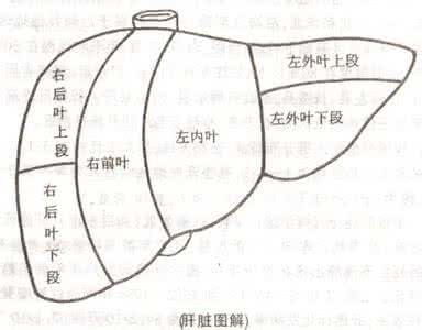 治疗肝癌新药ras 健脾化瘀方对人肝癌细胞ras/MAPK通路的影响