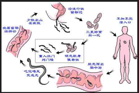 方子区史志网 史上最难找的方子，为了家人留着吧，家家都有需要!