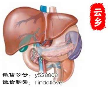 肝清洗术可靠吗? 不用动手术的肝脏清洗法