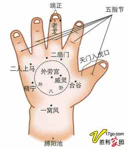 小儿推拿常用手法 小儿推拿常用腧穴之上肢部穴位