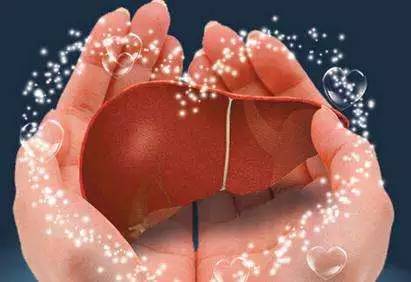 护肝片哪个牌子好 护肝10原则 “肝”好就是这么简单