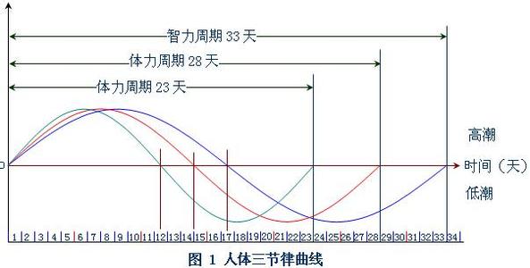 人体生命节律在线查询 人体生命节律学入门（3）人生与人体生命节律 生物三节律