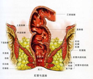 结肠炎的临床表现 结肠炎的临床表现 结肠损伤 结肠损伤的临床表现有哪些