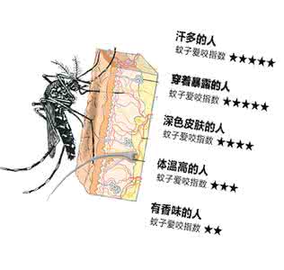 安全防护手册 蚊子叮咬安全防护手册