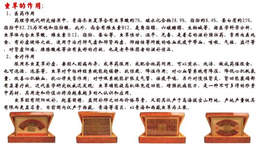 央视冬虫夏草骗局 冬虫夏草贵如黄金，央视总结了十大原因！