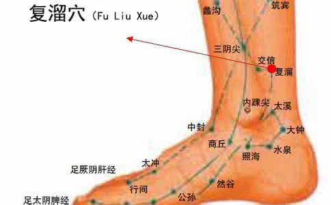 卵巢保养中药配方 卵巢保养穴位图 哪些穴位可以保养卵巢？