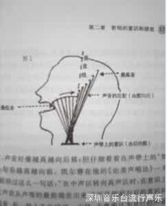 美声唱法技巧发声位置 美声 发声