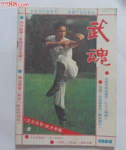 中华武术杂志 【武术杂志】3