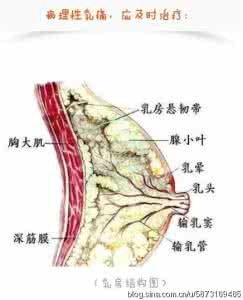 乳房两侧疼痛的原因 乳房两侧疼痛的原因 乳房疼痛怎么回事 导致乳房疼痛的原因