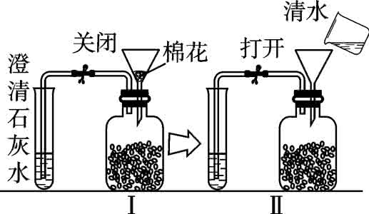 呼吸作用的实质是什么 呼吸作用 什么是呼吸作用