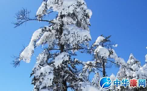 大雪压青松 大雪压青松 梦见大雪压青松