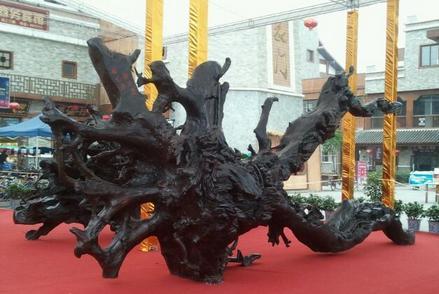 乌木有什么作用 乌木 乌木有什么作用