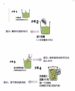 环保酵素与蔬菜种植 种植小课堂 第二课：自制环保酵素堆肥