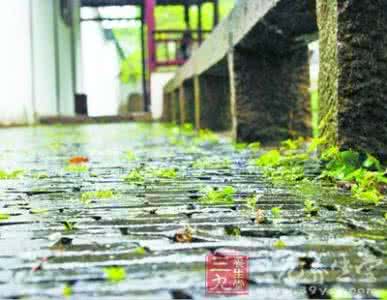 肠胃病气冲病灶的反应 梅雨季节应警惕肠胃病及呼吸道疾病