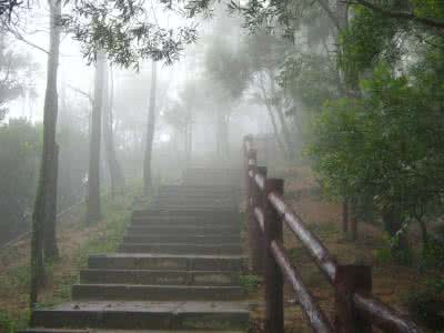 一帘幽梦 一场暮雨,淋湿了一帘幽梦