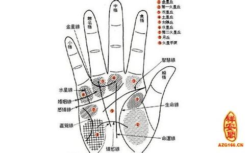 毛主席大富大贵的手相 毛主席大富大贵的手相 这地方毛长的人竟能大富大贵