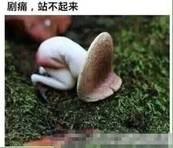 一只痛经的蘑菇 一只痛经的蘑菇 痛经该怎么调理