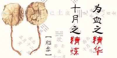 如何判断精子的好坏 男人外表看出精子好坏 装修风水 四招装修风水帮你看出房子的好坏