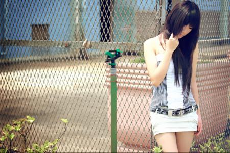 蝶舞天涯 蝶舞无声