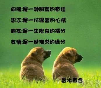 人与人之间的交往 人与人之间交往，不要耍太多的心眼！！！