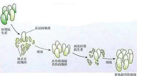 靶向药物耐药性 药物耐药性 药物产生耐药性怎么办？