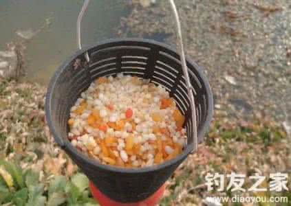 水库钓鱼打窝料 钓鱼打窝的四个实用技巧及窝料配方分享