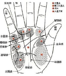 旺夫女人的面相手相 分析下旺夫女人手相的特征