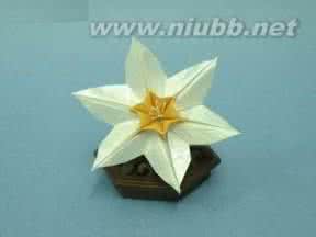 折纸大全 探究折纸