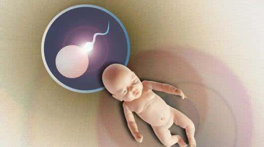 红酒提高男性精子质量 提高精子质量 喝红酒能提高精子质量吗