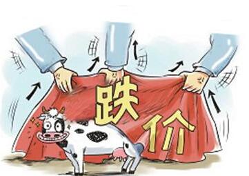 广东脆皮炸鲜奶的做法 广东解决卖奶难 确保生鲜奶质量安全