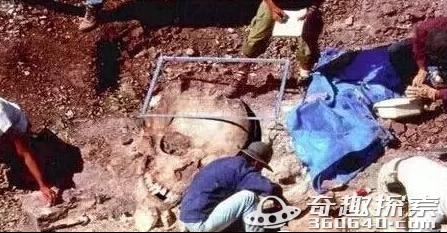 巨人族 神秘巨型遗骨曝光 巨人族存在竟是真