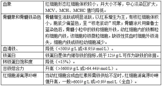 贫血概述ppt 知识总结（23）：贫血概述